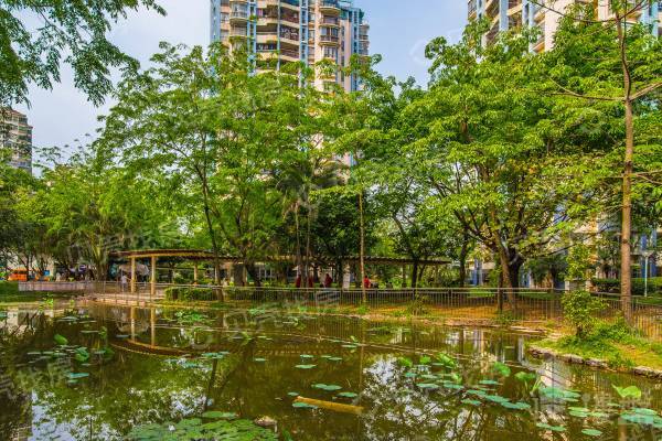 中城康橋花園二期|戶型實用方正|看花園安靜住家|裝修保養得好 必看好房